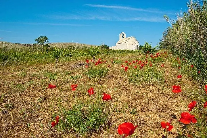 House With Swimming Pool Blue Diamond Croatia